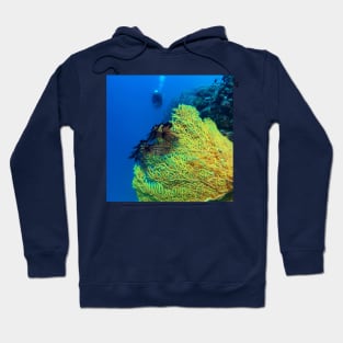 Sea Fan Coral and Scuba Diver Hoodie